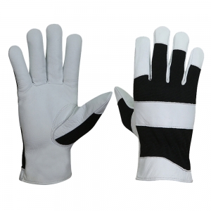 Assembly Glove-RPI-1519