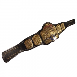 Wrestling Belt-RPI-20014