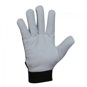 Assembly Glove