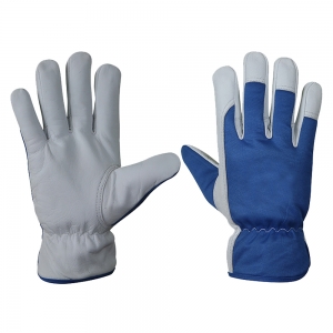 Assembly Glove-RPI-1515