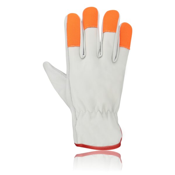 Driving Gloves