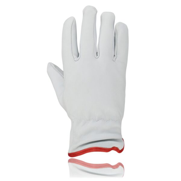 Driving Gloves