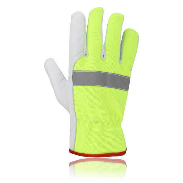 Driving Gloves